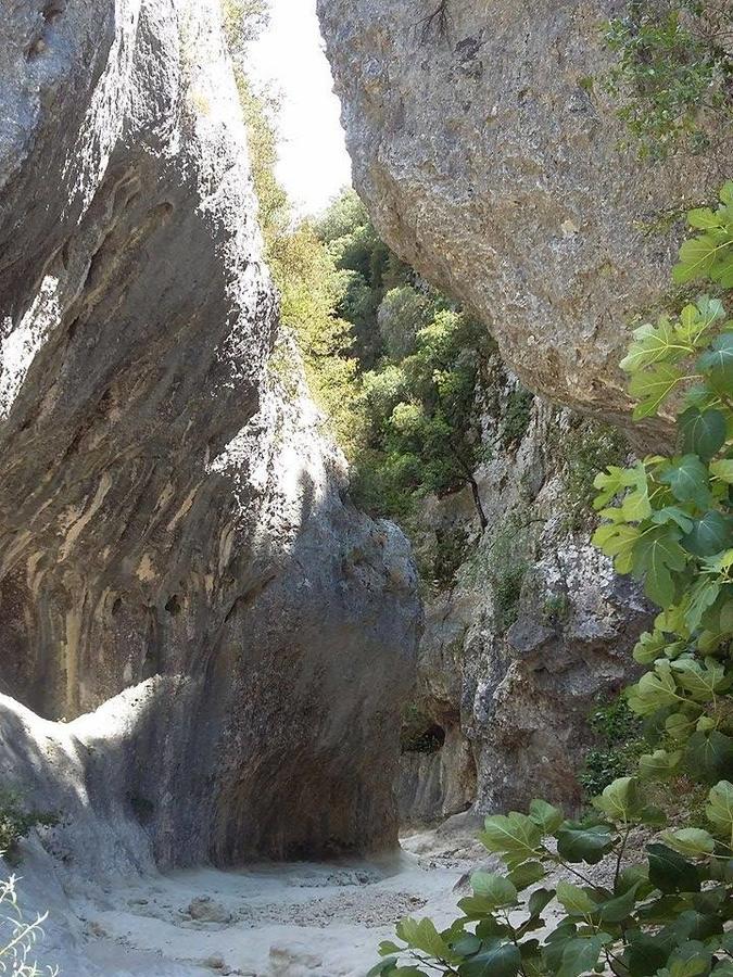La Feniere Panzió Vénéjan Kültér fotó